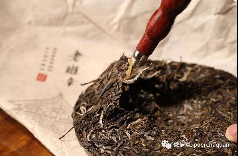 Pu'er spring tea and autumn tea, why are the prices several times different? (1).jpg