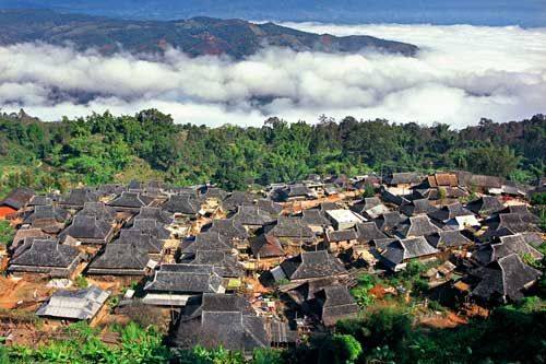 The central producing area of ​​Yunnan big-leaf te