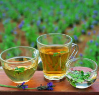 Tea water can kill bacteria and reduce inflammatio